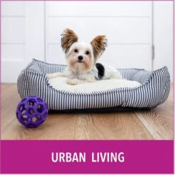 Puppy Go Potty Natural Paper Fiber Dog Litter -Pet Dog Supply Store 227546 PT6. AC SS1800 V1597158654