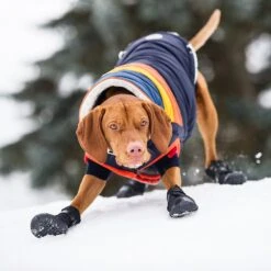 GF Pet Elastofit Dog Boots -Pet Dog Supply Store 227696 PT5. AC SS1800 V1585243588