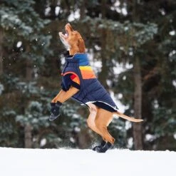 GF Pet Elastofit Dog Boots -Pet Dog Supply Store 227696 PT7. AC SS1800 V1585243594