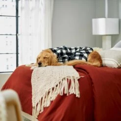 Wagatude Black Buffalo Plaid Dog Pajama 11 Wagatude Black Buffalo Plaid Dog Pajama -Pet Dog Supply Store 228071 PT4. AC SS1800 V1637645494