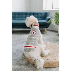 Chilly Dog Squirrel Patrol Wool Dog Sweater 8 Chilly Dog Squirrel Patrol Wool Dog Sweater -Pet Dog Supply Store 228340 PT3. AC SS1800 V1595887896