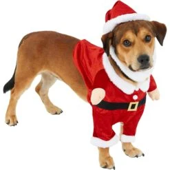 Frisco Front Walking Santa Dog & Cat Costume, 1 Count -Pet Dog Supply Store 228785 PT3. AC SS1800 V1631300866