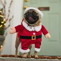 Frisco Front Walking Santa Dog & Cat Costume, 1 Count -Pet Dog Supply Store 228785 PT7. AC SS1800 V1601560869