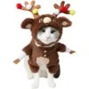 Frisco Front Walking Reindeer Dog & Cat Costume, 1 Count 1 Frisco Front Walking Reindeer Dog & Cat Costume, 1 Count -Pet Dog Supply Store 228790 MAIN. AC SS1800 V1636731115