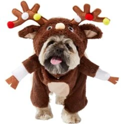 Frisco Front Walking Reindeer Dog & Cat Costume, 1 Count -Pet Dog Supply Store 228790 PT2. AC SS1800 V1636731101