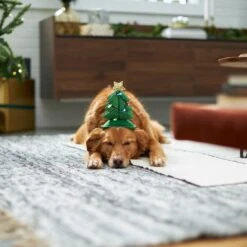 Frisco Christmas Tree LED Dog & Cat Headpiece 11 Frisco Christmas Tree LED Dog & Cat Headpiece -Pet Dog Supply Store 229051 PT7. AC SS1800 V1601648765