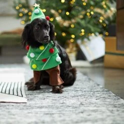 Frisco Front Walking Christmas Tree Dog & Cat Costume -Pet Dog Supply Store 229164 PT7. AC SS1800 V1601385981