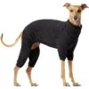 Canada Pooch Thermal Layer Dog Onesie, Black 1 Canada Pooch Thermal Layer Dog Onesie, Black -Pet Dog Supply Store 229714 MAIN. AC SS1800 V1597884683