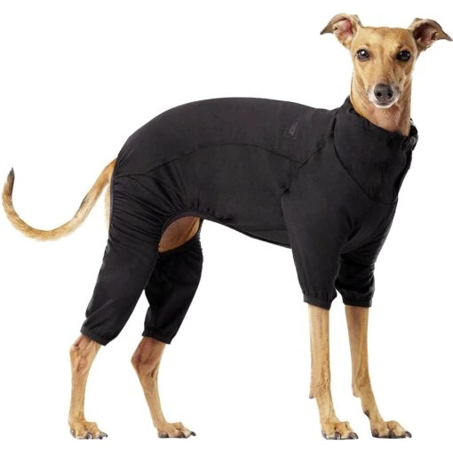 Canada Pooch Thermal Layer Dog Onesie, Black -Pet Dog Supply Store 229714 MAIN. AC SS1800 V1597884683