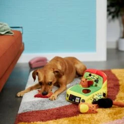 Frisco Retro Smack-a-Squirrel Hide & Seek Puzzle Plush Squeaky Dog Toy 9 Frisco Retro Smack-a-Squirrel Hide & Seek Puzzle Plush Squeaky Dog Toy -Pet Dog Supply Store 230313 PT3. AC SS1800 V1601947334