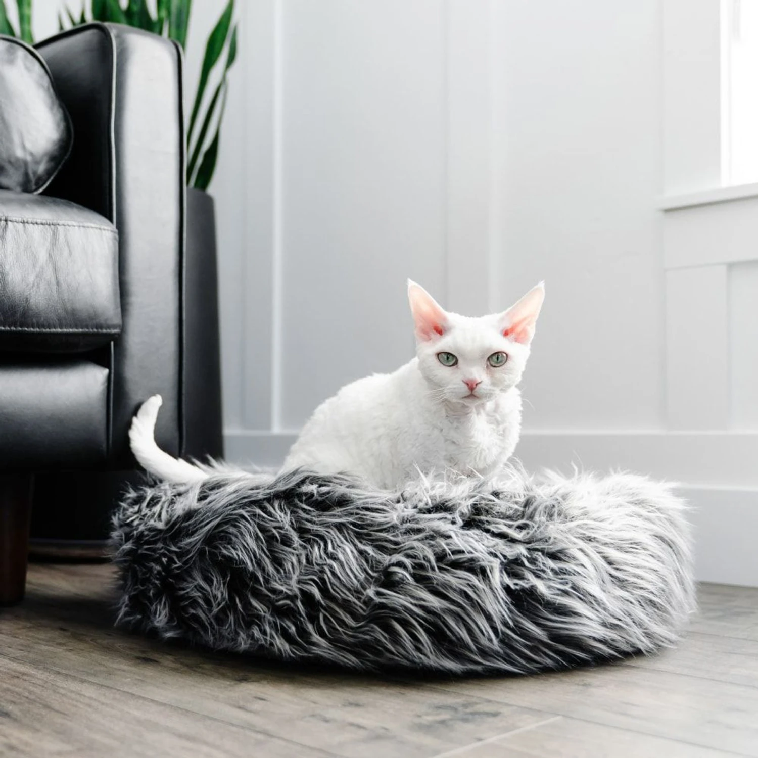 Mau Lifestyle Fluffi Donut Dog & Cat Bed 3 Mau Lifestyle Fluffi Donut Dog & Cat Bed