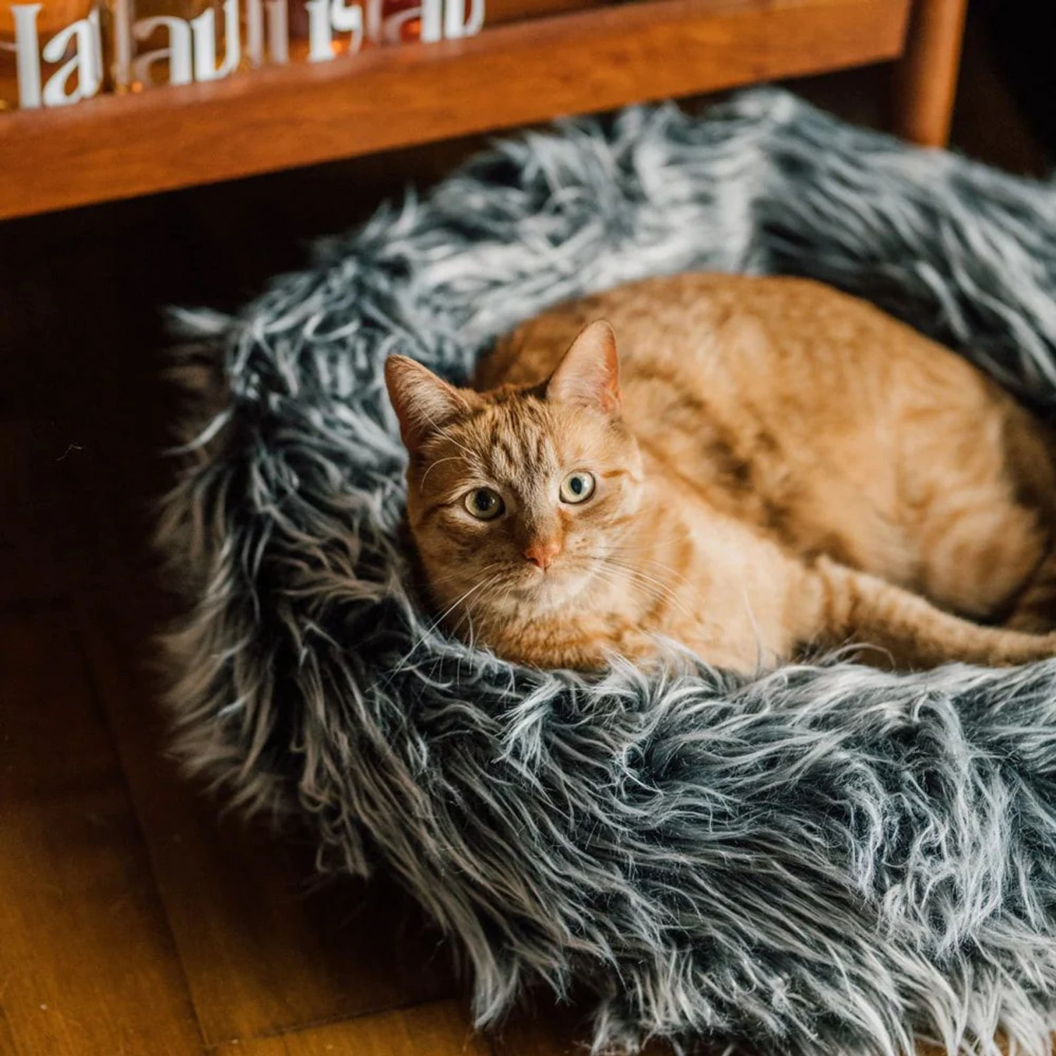 Mau Lifestyle Fluffi Donut Dog & Cat Bed 6 Mau Lifestyle Fluffi Donut Dog & Cat Bed - Image 4