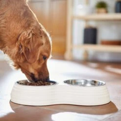 Frisco Stainless Steel Double Dog Bowls With Melamine Stand -Pet Dog Supply Store 232092 PT7. AC SS1800 V1693015855