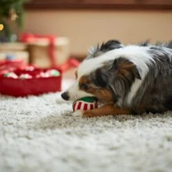 Frisco Holiday Wreath Fetch Squeaky Tennis Ball Dog Toy 12 Frisco Holiday Wreath Fetch Squeaky Tennis Ball Dog Toy -Pet Dog Supply Store 233189 PT3. AC SS1800 V1665759769