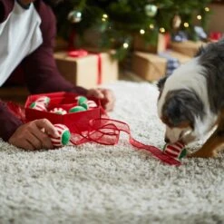 Frisco Holiday Wreath Fetch Squeaky Tennis Ball Dog Toy 13 Frisco Holiday Wreath Fetch Squeaky Tennis Ball Dog Toy -Pet Dog Supply Store 233189 PT5. AC SS1800 V1601919657