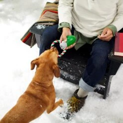 Frisco Holiday Christmas Light Rope With TPR Squeaky Dog Toy 9 Frisco Holiday Christmas Light Rope With TPR Squeaky Dog Toy -Pet Dog Supply Store 233278 PT2. AC SS1800 V1601641574