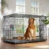 Frisco Heavy Duty Enhanced Lock Double Door Fold & Carry Wire Dog Crate & Mat Kit -Pet Dog Supply Store 233736 MAIN. AC SS1800 V1667229247
