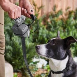 Frisco Large Size Dog Poop Bags With Fabric Dispenser -Pet Dog Supply Store 237013 PT6. AC SS1800 V1610762789