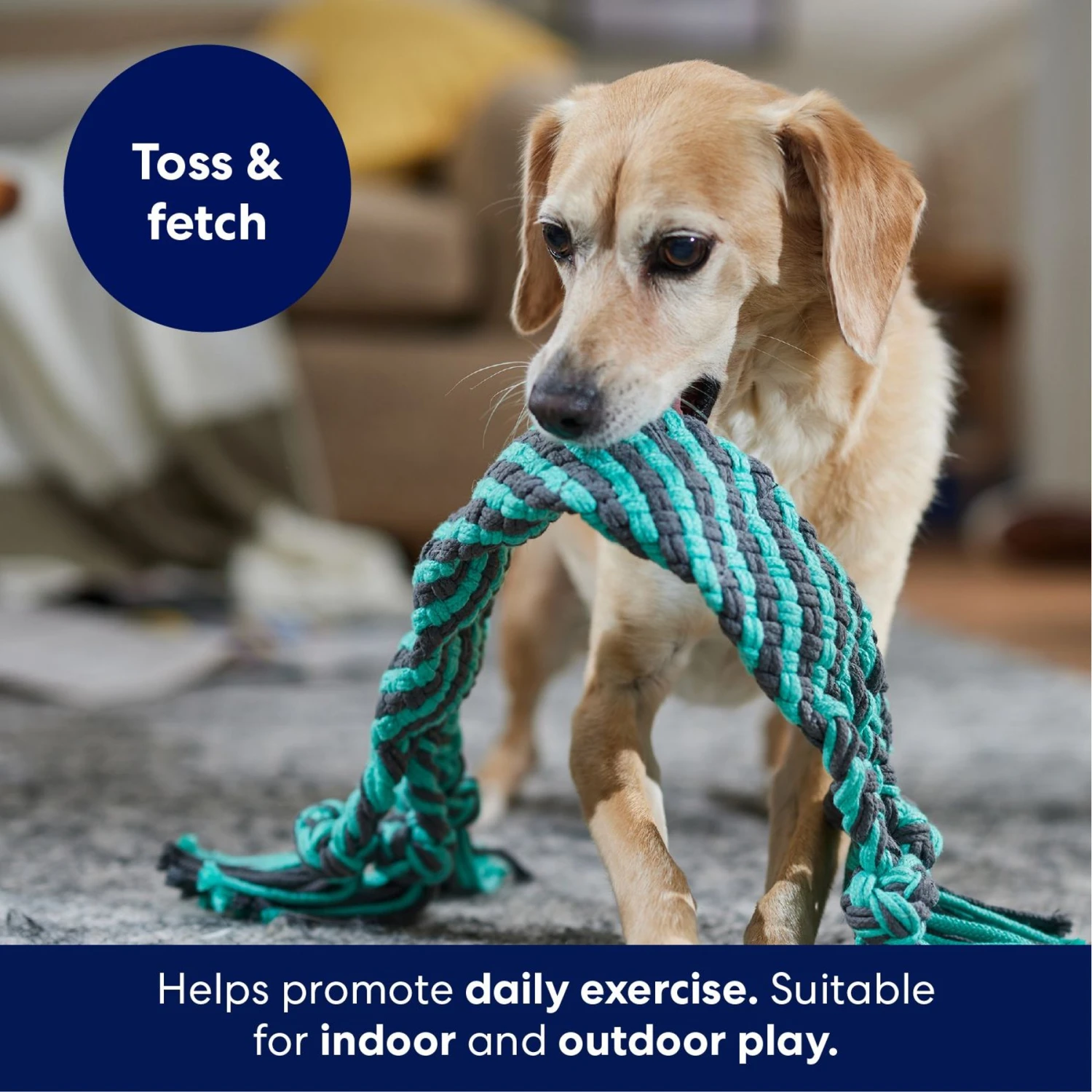 Frisco Flat Teal & Gray Braided Rope Squeaky Fetch Dog Toy 6 Frisco Flat Teal & Gray Braided Rope Squeaky Fetch Dog Toy - Image 4