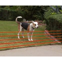 High Tech Pet Products Humane Contain HC-8000 Deluxe Electronic Dog Fence Containment System 11 High Tech Pet Products Humane Contain HC-8000 Deluxe Electronic Dog Fence Containment System -Pet Dog Supply Store 242712 PT3. AC SS1800 V1594841476