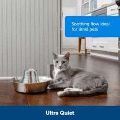 PetSafe Seaside Stainless Steel Cat Water Fountain, 60-oz -Pet Dog Supply Store 247079 PT4. AC SS1800 V1663967934