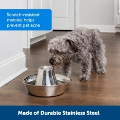 PetSafe Seaside Stainless Steel Cat Water Fountain, 60-oz -Pet Dog Supply Store 247079 PT5. AC SS1800 V1663967298