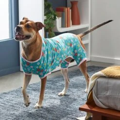 Frisco Teal Floral Dog & Cat Jersey PJs 15 Frisco Teal Floral Dog & Cat Jersey PJs -Pet Dog Supply Store 249132 PT7. AC SS1800 V1614376401