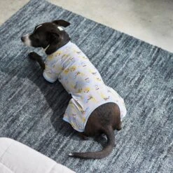 Frisco Sleepy Sloths Dog & Cat Jersey PJs 11 Frisco Sleepy Sloths Dog & Cat Jersey PJs -Pet Dog Supply Store 249144 PT7. AC SS1800 V1614369158