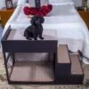 Penn-Plax Buddy Bunk Cat & Dog Bed & Step Set 2 Penn-Plax Buddy Bunk Cat & Dog Bed & Step Set -Pet Dog Supply Store 249625 MAIN. AC SS1800 V1695327261