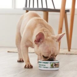 Frisco Boho Damask Ceramic Personalized Dog & Cat Bowl 9 Frisco Boho Damask Ceramic Personalized Dog & Cat Bowl -Pet Dog Supply Store 250833 PT3. AC SS1800 V1610758070