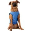 GF Pet Elastofit Ice Dog Vest -Pet Dog Supply Store 251472 MAIN. AC SS1800 V1599642396