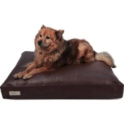 B&G Martin Faux Leather Poly Fill Cushion Insert Dog & Cat Bed 10 B&G Martin Faux Leather Poly Fill Cushion Insert Dog & Cat Bed -Pet Dog Supply Store 252285 PT3. AC SS1800 V1603729332