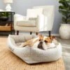 Frisco Rectangular Personalized Bolster Dog Bed W/Removable Cover, Beige, X-Large 2 Frisco Rectangular Personalized Bolster Dog Bed W/Removable Cover, Beige, X-Large -Pet Dog Supply Store 252615 MAIN. AC SS1800 V1604499115