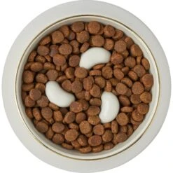 Frisco Melamine Slow Feed Dog & Cat Bowl With Gold Trim -Pet Dog Supply Store 253066 PT5. AC SS1800 V1616597830