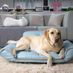 K1 Pet Design Stark Sofa Dog Bed 15 K1 Pet Design Stark Sofa Dog Bed -Pet Dog Supply Store 254149 PT6. AC SS1800 V1602723974