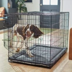 Frisco Self Warming Dog Crate Mat 13 Frisco Self Warming Dog Crate Mat -Pet Dog Supply Store 255337 PT5. AC SS1800 V1616102293