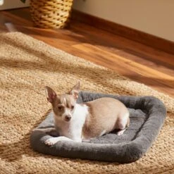 Frisco Fold & Carry Single Door Collapsible Wire Dog Crate & Frisco Quilted Plush Dog Crate Mat -Pet Dog Supply Store 255501 PT4. AC SS1800 V1604097719
