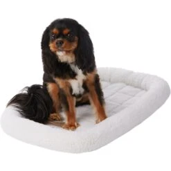 Frisco Heavy Duty Fold & Carry Single Door Collapsible Wire Dog Crate & Frisco Quilted Dog Crate Mat -Pet Dog Supply Store 255551 PT4. AC SS1800 V1604096523