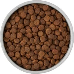 Frisco Marble Design Non-skid Ceramic Dog & Cat Bowl 15 Frisco Marble Design Non-skid Ceramic Dog & Cat Bowl -Pet Dog Supply Store 256056 PT6. AC SS1800 V1615310860