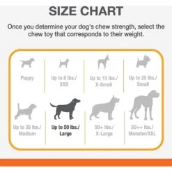 Nylabone Power Chew Tough Chew Toys For Dogs Bundle Beef & Cheese -Pet Dog Supply Store 256133 PT3. AC SS1800 V1688157175