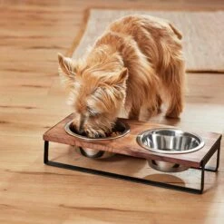 Frisco Wood Elevated Non-Skid Stainless Steel Double Diner Dog & Cat Bowl -Pet Dog Supply Store 257143 PT3. AC SS1800 V1615987292