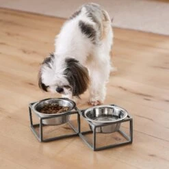 Frisco Elevated Diamond Stainless Steel Double Diner Dog & Cat Bowl -Pet Dog Supply Store 257147 PT8. AC SS1800 V1615840442