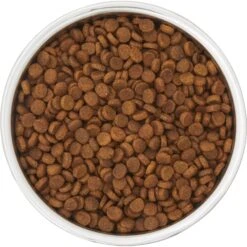 Frisco Insulated Two-Toned Non-Skid Stainless Steel Dog & Cat Bowl -Pet Dog Supply Store 257168 PT4. AC SS1800 V1612367255