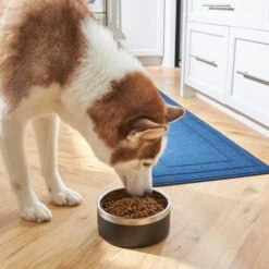 Frisco Insulated Two-Toned Non-Skid Stainless Steel Dog & Cat Bowl -Pet Dog Supply Store 257168 PT8. AC SS1800 V1615840126