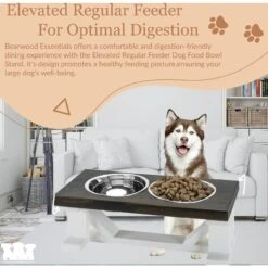 Bearwood Essentials Farmhouse Elevated Dog Feeder -Pet Dog Supply Store 258636 PT4. AC SS1800 V1698845986