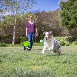 Hyper Pet GoDogGo Fetch Machine G5 Rechargeable Ball Launcher Interactive Dog Toy -Pet Dog Supply Store 258942 PT2. AC SS1800 V1622589167