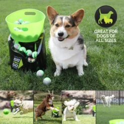 Hyper Pet GoDogGo Fetch Machine G5 Rechargeable Ball Launcher Interactive Dog Toy -Pet Dog Supply Store 258942 PT6. AC SS1800 V1622590041