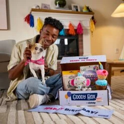 Goody Box Birthday Dog Toys & Treats, X-Small/Small -Pet Dog Supply Store 258999 PT2. AC SS1800 V1676045587