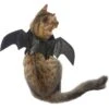 Frisco Bat Wings Dog & Cat Costume 1 Frisco Bat Wings Dog & Cat Costume -Pet Dog Supply Store 261113 MAIN. AC SS1800 V1625076458