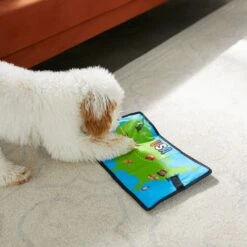 Frisco Road Trip Foldable Map Flat Plush Squeaky Dog Toy -Pet Dog Supply Store 261998 PT4. AC SS1800 V1619791937